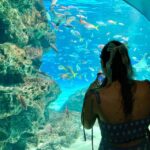 Tokyo : Aquarium Backyard Tour and Tokyo View Observatory - Why We Think This Tour Works