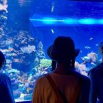 Tokyo : Aquarium Backyard Tour and Tokyo View Observatory - Practical Details and Considerations