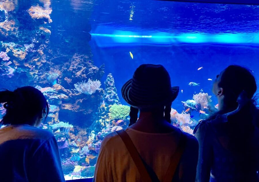 Tokyo : Aquarium Backyard Tour and Tokyo View Observatory - Practical Details and Considerations