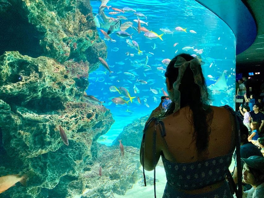 Tokyo : Aquarium Backyard Tour and Tokyo View Observatory - Why We Think This Tour Works