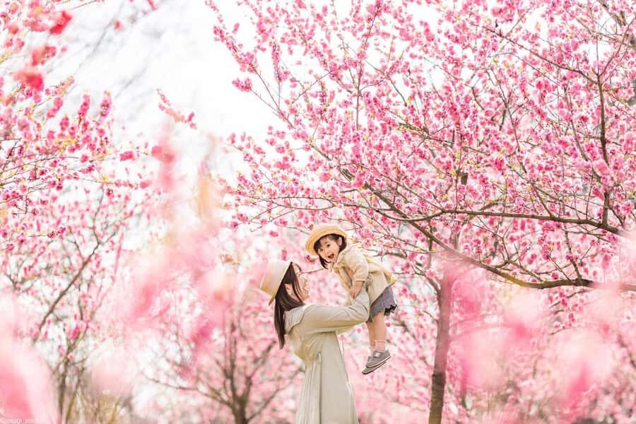 Tokyo asakusa An Immersive 3-Hour Kimono Photoshoot - What’s the Value?