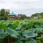 Tokyo: Asakusa & Kanda Myojin & Ueno Guided Tour - Final Thoughts