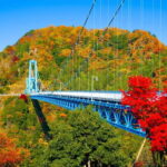 Tokyo: Autumn Hitachi Seaside Park, Fukuroda Falls & Ryujin - The Value of the Tour