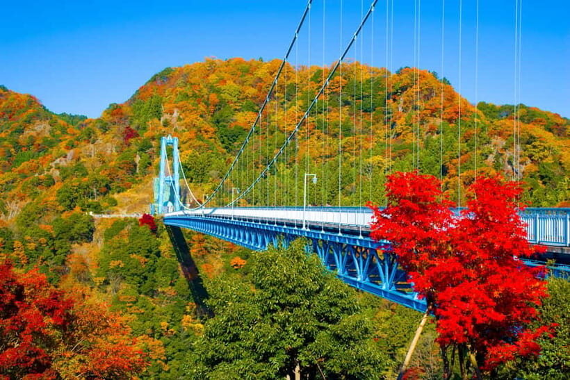Tokyo: Autumn Hitachi Seaside Park, Fukuroda Falls & Ryujin - The Value of the Tour