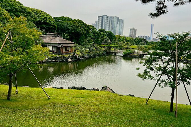 Tokyo Bay and Tsukiji Fish Market - Practicalities and What to Expect