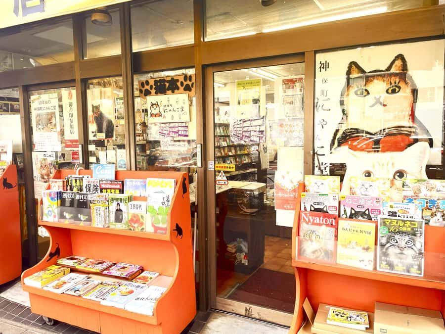 Tokyo: Cat-themed Bookstore & Shinjuku Cat cafe Night Tour - Picture-Perfect Moments at Shinjuku’s 3D Cat Billboard