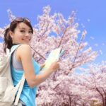 Tokyo: Cherry Blossom Full-Day Tour with Local Expert Guide - An In-Depth Look at the Cherry Blossom Tour