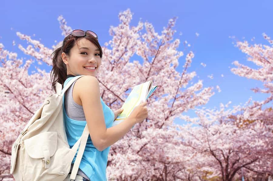 Tokyo: Cherry Blossom Full-Day Tour with Local Expert Guide - An In-Depth Look at the Cherry Blossom Tour
