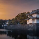 Tokyo Cherry Blossom Half Day Walking Tour with a Local Guide - Practical Details and What You Can Expect