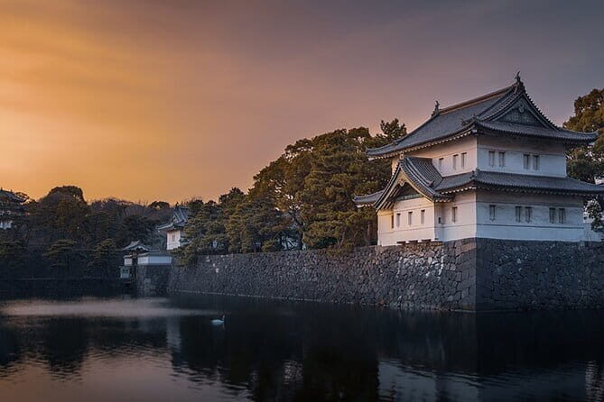 Tokyo Cherry Blossom Half Day Walking Tour with a Local Guide - Practical Details and What You Can Expect