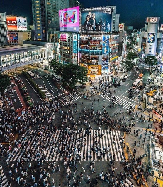 Tokyo city day tour with englisg speaking driver. - Ideal For Whom?