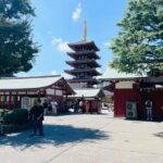 Tokyo City Highlights Tour With English Speaking Driver - Practical Details and Value