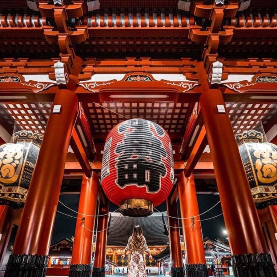 Tokyo City Private Day Tour By English Speaking Driver - Transportation and Group Size