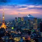 Tokyo City Private Tour with English Speaking Driver - Practical Insights