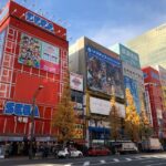 Tokyo: Customized Private Tour with a Local Guide - What to Expect During the Tour