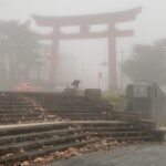 Tokyo: Customized Private Tour with a Local Guide - What’s Included and What’s Not?