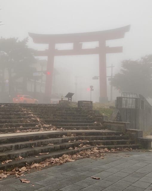 Tokyo: Customized Private Tour with a Local Guide - What’s Included and What’s Not?