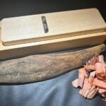 Tokyo : Cute Character Bento making work shop in Shinjuku - Location and Practical Details