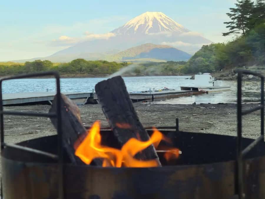 Tokyo: Different Views of Mt Fuji: 3 Lakes & Train Day Tour - What We Loved and What to Consider