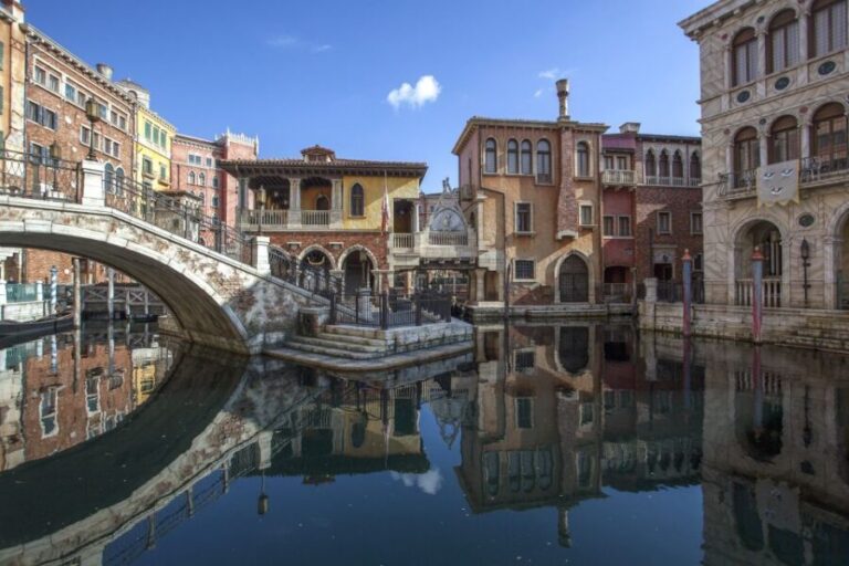 Tokyo Disneyland or DisneySea Ticket & Door to Door Transfer - Authentic Experiences & Insights from Reviews