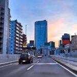 Tokyo: Driving Lessons with an Instructor - Who Should Consider This Experience?