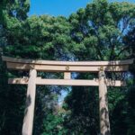 Tokyo Early Morning Tour Asakusa Meiji Shrine (Private Opt) - What’s Included and What’s Not?