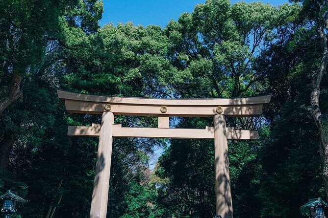 Tokyo Early Morning Tour Asakusa Meiji Shrine (Private Opt) - What’s Included and What’s Not?  