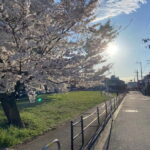 Tokyo: Explore the Authentic Life of a Residential Neighborhood - Who Will Benefit Most from This Tour?