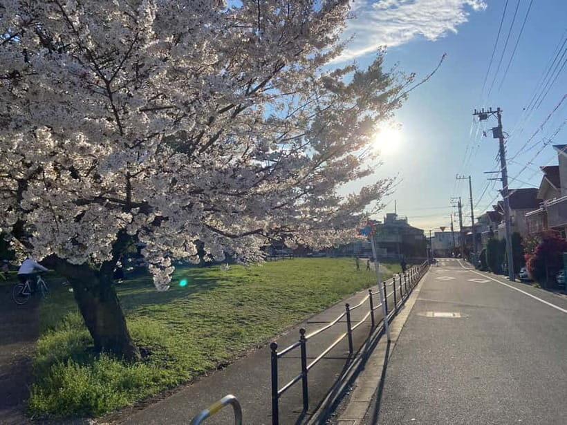 Tokyo: Explore the Authentic Life of a Residential Neighborhood - Who Will Benefit Most from This Tour?