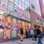 Tokyo: Exploring Anime & Electronics Tour in Akihabara - What Makes This Tour a Great Choice?