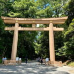 Tokyo Family Private Tour: Meiji Shrine & Sanrio Puroland - Final Thoughts: Is This Tour Right for You?
