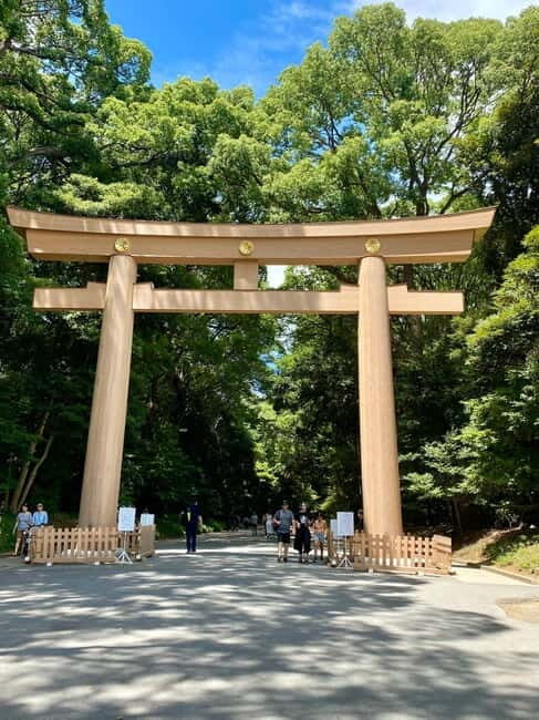 Tokyo Family Private Tour: Meiji Shrine & Sanrio Puroland - Final Thoughts: Is This Tour Right for You?