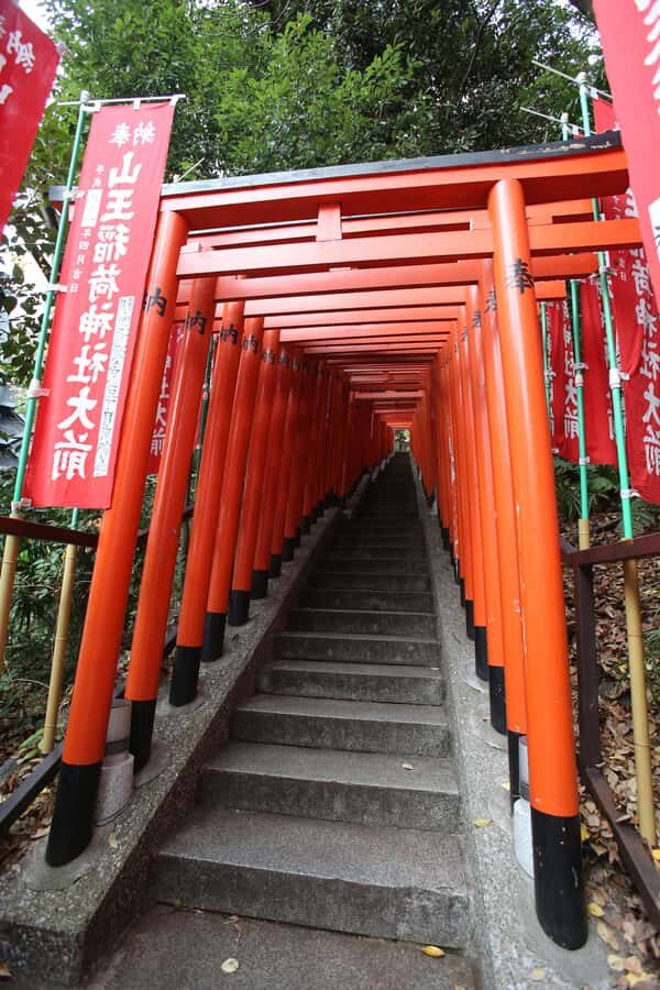Tokyo: Feng Shui, Red Torii & Neon Private Tour - The Heart of Power: Imperial Palace East Gardens 