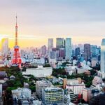 Tokyo Food & Culture Private Tour & Authentic Yakitori Lunch - Who Will Love This Tour?