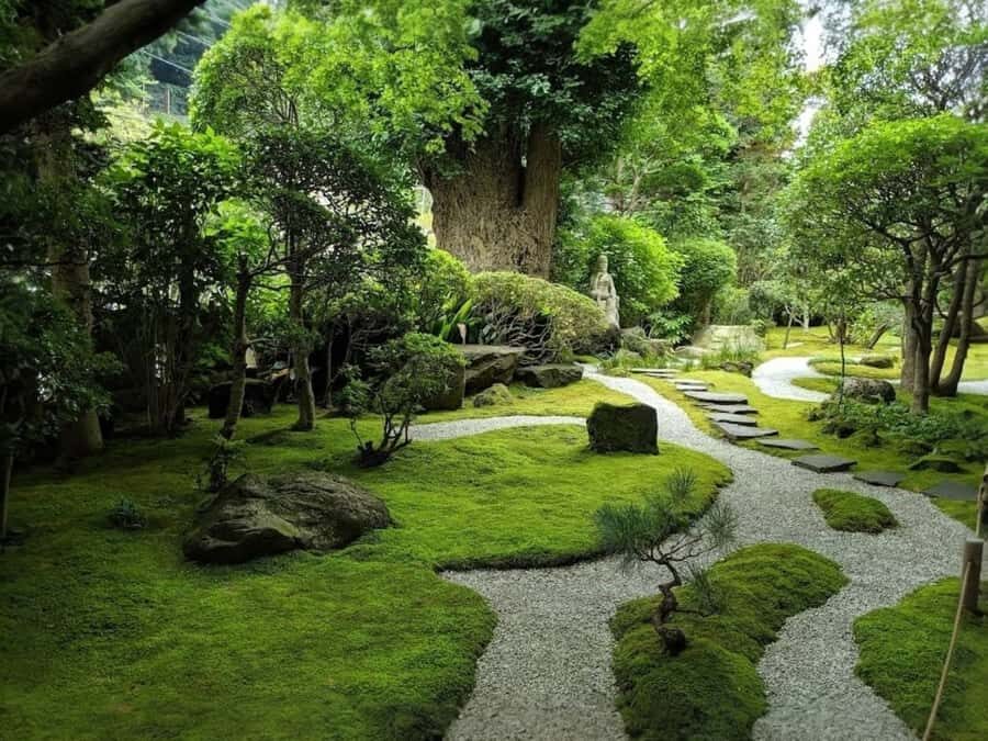 Tokyo Food & Culture Private Tour & Authentic Yakitori Lunch - The Sum Up