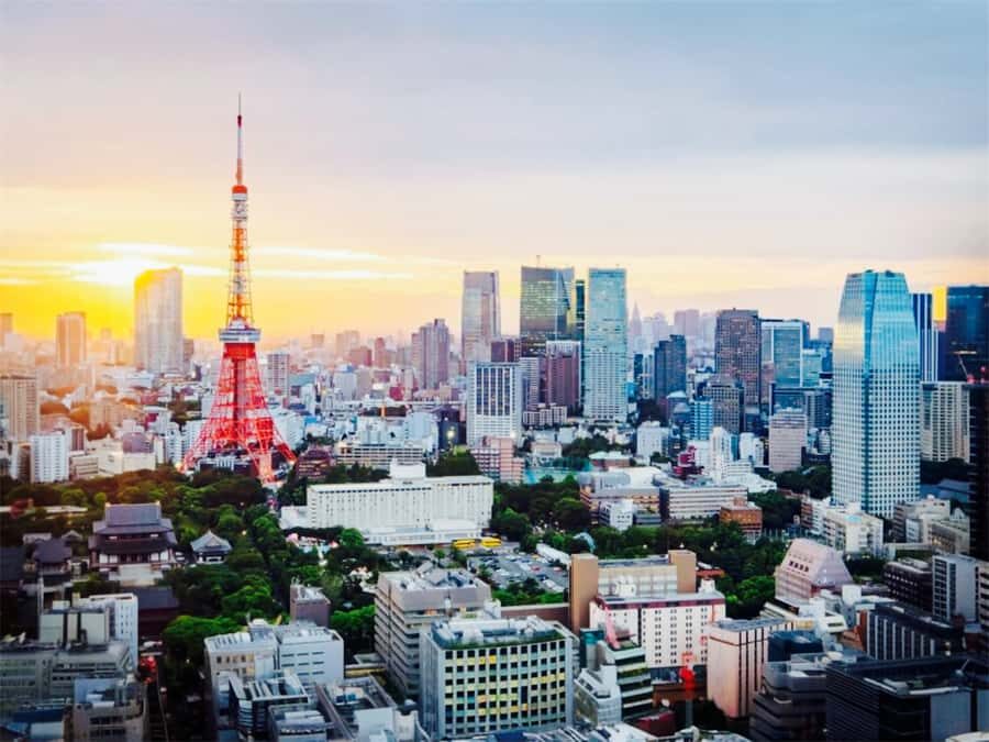 Tokyo Food & Culture Private Tour & Authentic Yakitori Lunch - Who Will Love This Tour?