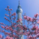 Tokyo Full Day Customizable Private Day Trip with Guide - Itinerary Breakdown and Highlights