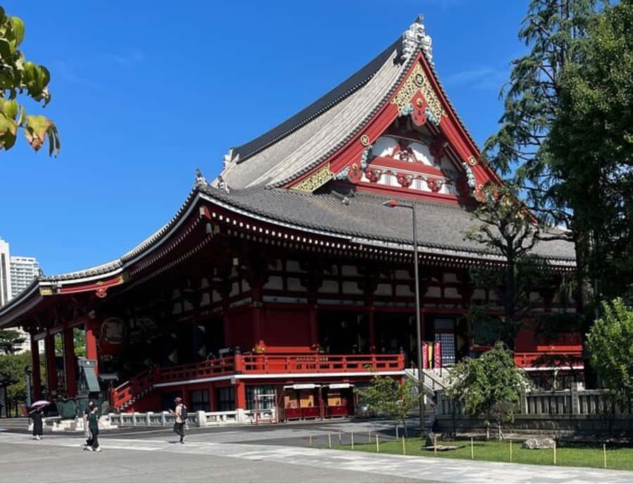 Tokyo Full Day Customizable Private Tour with English Guide - Why Choose This Tour?