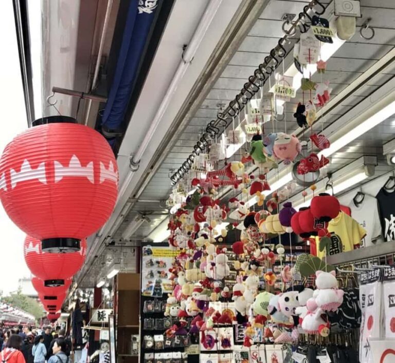 Tokyo Full Day Customizable Private Tour with English Guide - Who Is This Tour Best For?