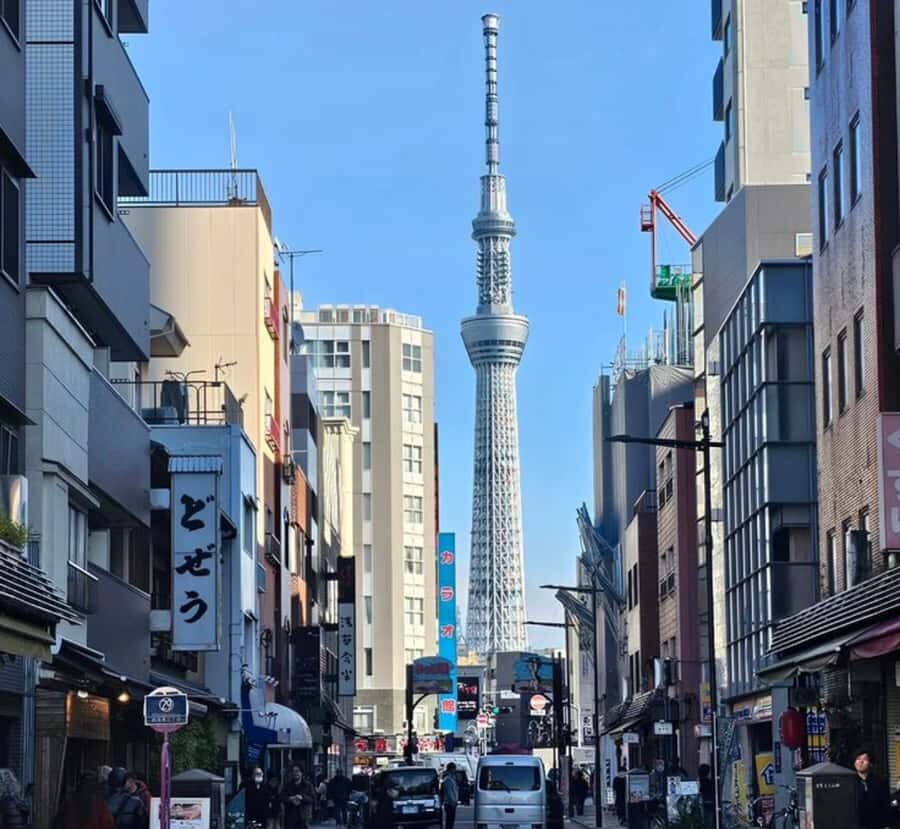Tokyo Full Day Customizable Private Tour with English Guide - Detailed Breakdown of the Itinerary