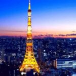 Tokyo Full-Day Private Customizable Tour with English guide - Practical Details and Tips