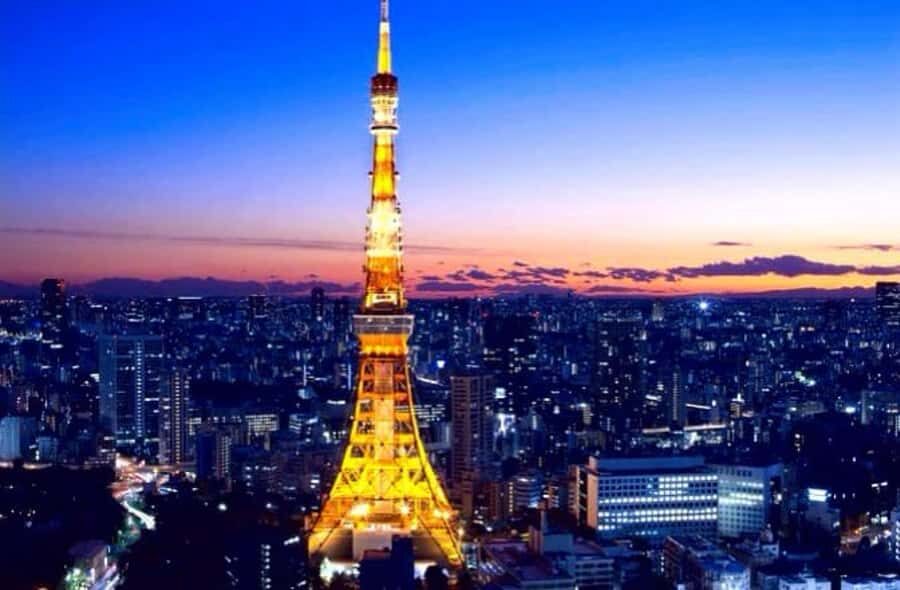 Tokyo Full-Day Private Customizable Tour with English guide - Practical Details and Tips