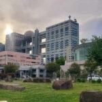 Tokyo Full-Day Private Tour (Customizable) - What Makes This Tour Stand Out?