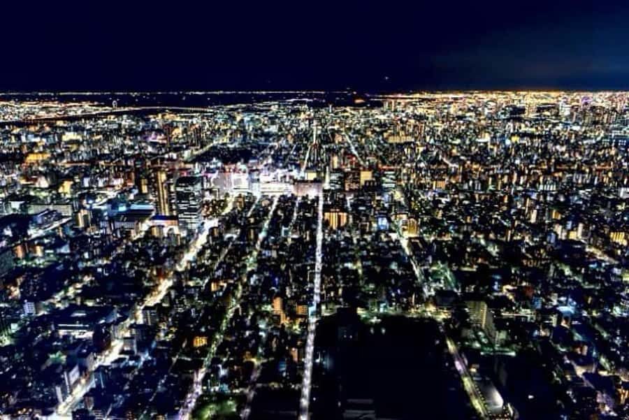 Tokyo Full-Day Sightseeing City Tour with English Driver - Practical Details and What Sets This Tour Apart