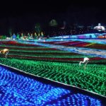 Tokyo: German Village Lighting and Farm Experience - The Value of the Tour