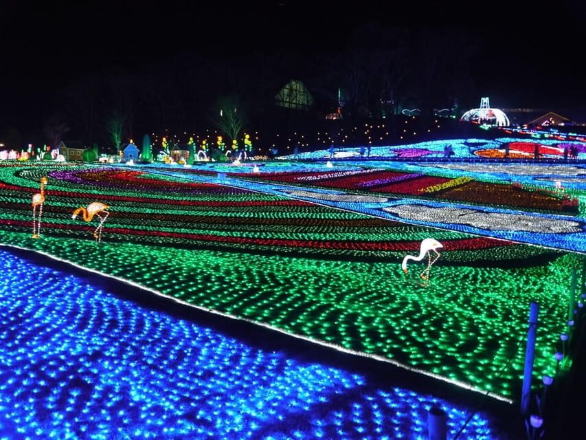 Tokyo: German Village Lighting and Farm Experience - The Value of the Tour