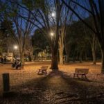 Tokyo Ghost Tour: Dark Tales, Urban Legends & Cemetery Night - Who Should Consider This Tour?