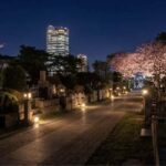 Tokyo Ghost Tour: Dark Tales, Urban Legends & Cemetery Night - Practical Details and Why They Matter