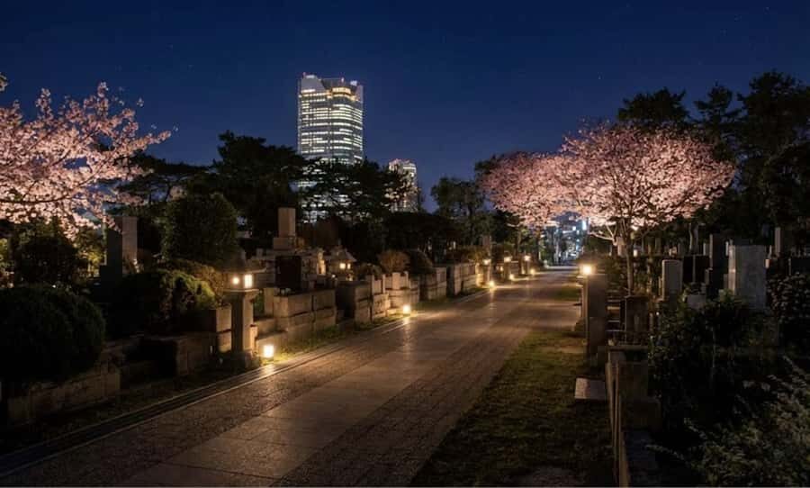 Tokyo Ghost Tour: Dark Tales, Urban Legends & Cemetery Night - Practical Details and Why They Matter
