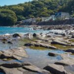 Tokyo: Gotemba Outlet Shopping Day Trip with Beer - Practical Details and What to Expect